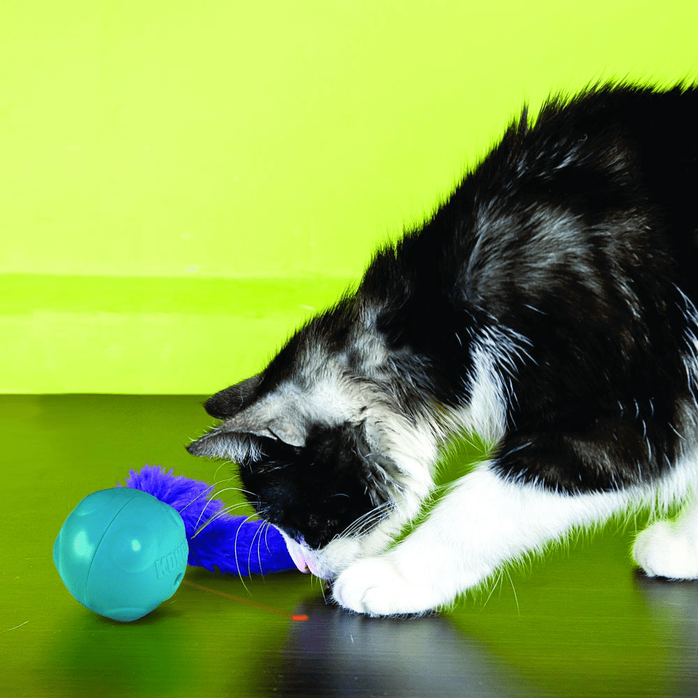 Kong Laser Craze Toy for Cats with Catnip