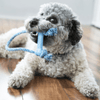 Kong Puppy Goodie Bone Toy with Rope for Dogs