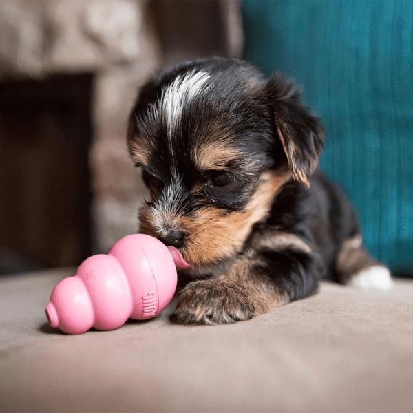 Kong Puppy Toy for Dogs (Pink) | For Aggressive Chewers