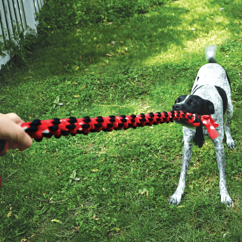 Kong Signature Rope Double Ring Tug Toy for Dogs