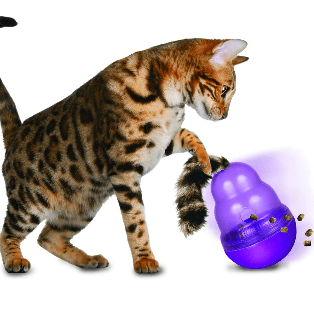 Kong Wobbler Toy for Cats Cats-Toys Kong