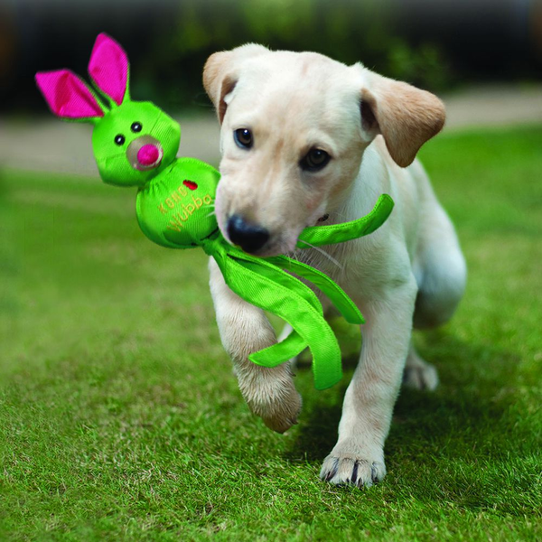 Kong Wubba Friends Toy for Dogs (Green)