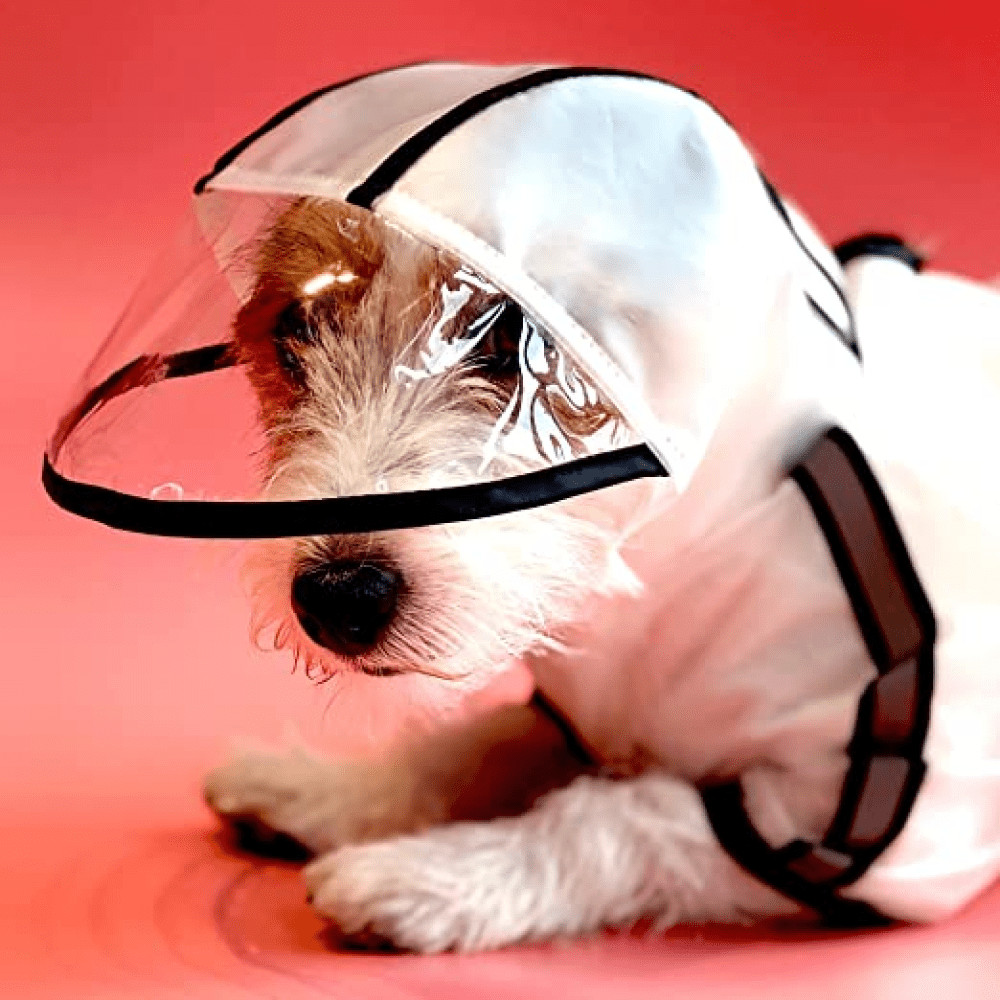 Barkbutler x Fofos Four Leg Black Raincoat for Dogs (Button Up Style) Dogs-Clothing & Accessories Barkbutler