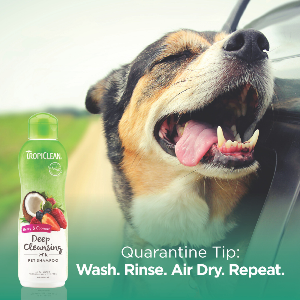 Buy Tropiclean Berry and Coconut Deep Cleaning Shampoo for Dogs