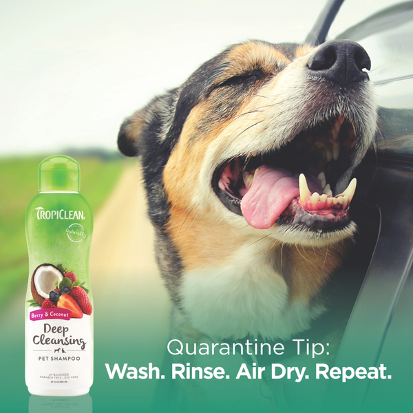 Tropiclean Berry and Coconut Deep Cleaning Shampoo for Dogs and Cats