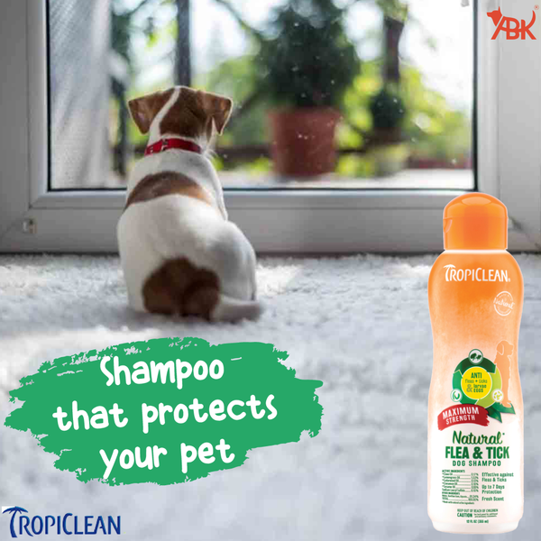Buy Tropiclean Maximum Strength Natural Flea Tick Shampoo for