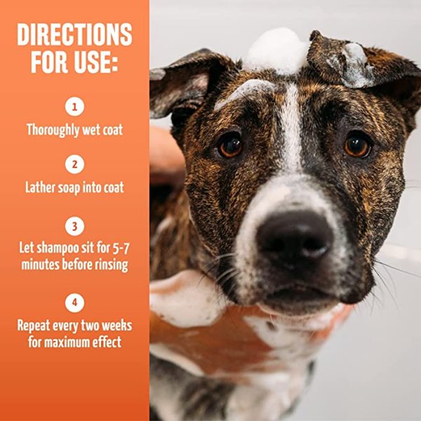 Tropiclean Maximum Strength Natural Flea & Tick Shampoo for Dogs