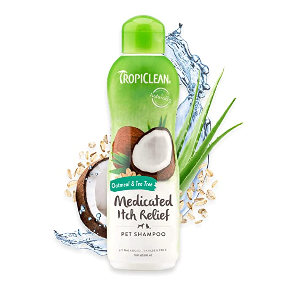 Tea tree online medicated shampoo