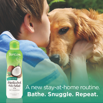 Tropiclean Medicated Oatmeal & Tea Tree Shampoo for Dogs