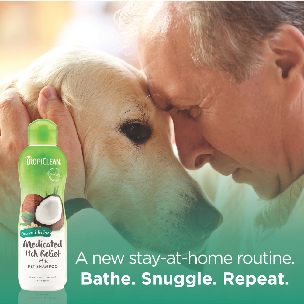Buy Tropiclean Medicated Oatmeal Tea Tree Shampoo for Dogs