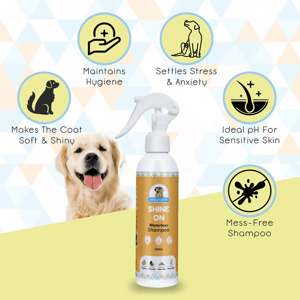 Papa Pawsome Short Smooth Coat Easy Peasy Grooming Kit (Chihuahua)