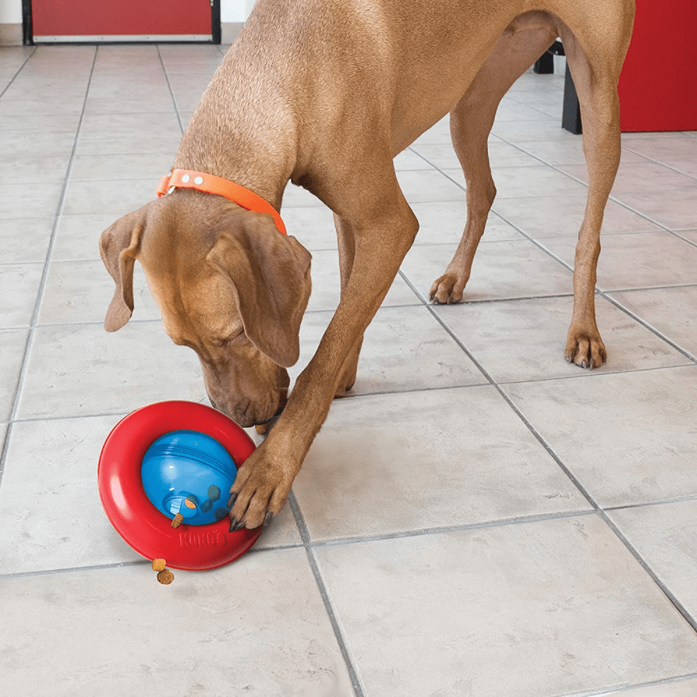 Kong Gyro Toy for Dogs | For Aggressive Chewers