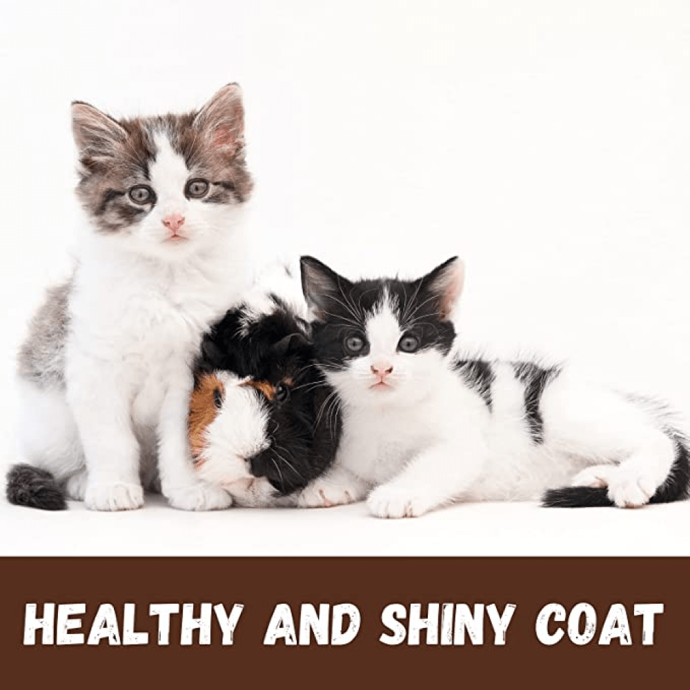 Bio Groom Purrfect White Conditioning Shampoo for Cats