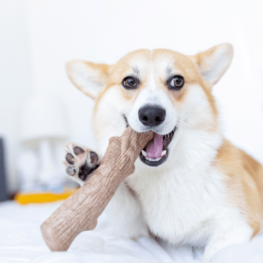 Petstages Dogwood Durable Stick for Dogs | For Aggressive Chewers