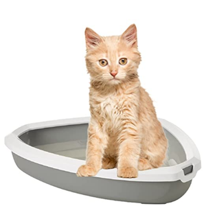 Savic Rincon Corner Litter Tray with Rim for Cats (Cold Grey)