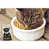Kittos Purr Fect Cod Sandwich Cat Treat Cats-Treats & Others Kittos