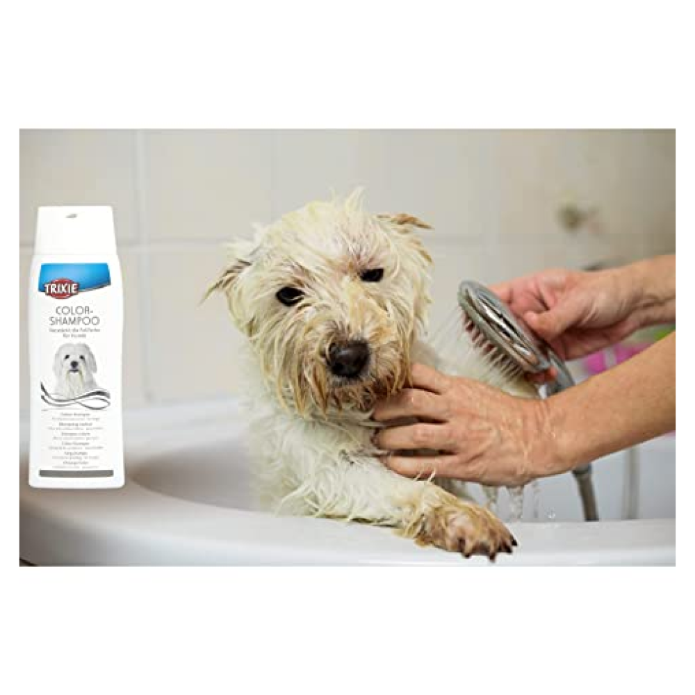 Trixie Colour Shampoo for Dogs (White Coat)