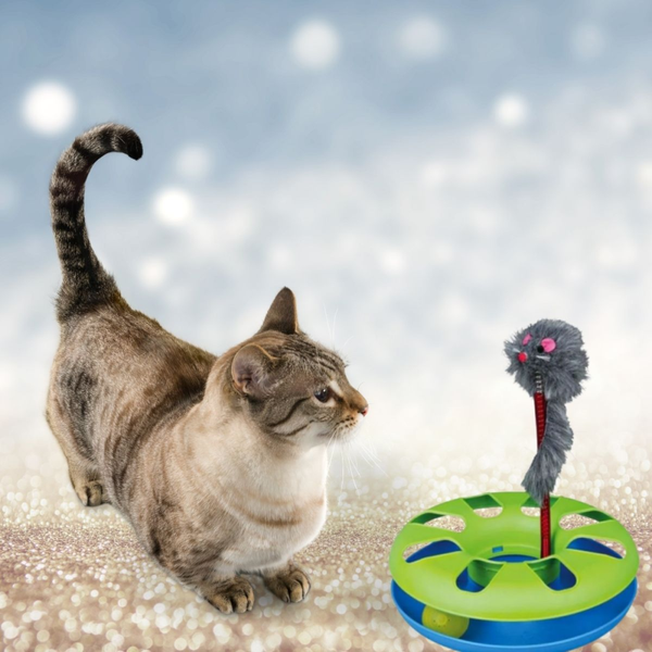 Trixie Crazy Circle with Plush Mouse Toy for Cats (Green/Blue)