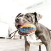 Trixie Push To Mute Rubber Rugby Ball on Rope Toy for Dogs (Orange/Blue)