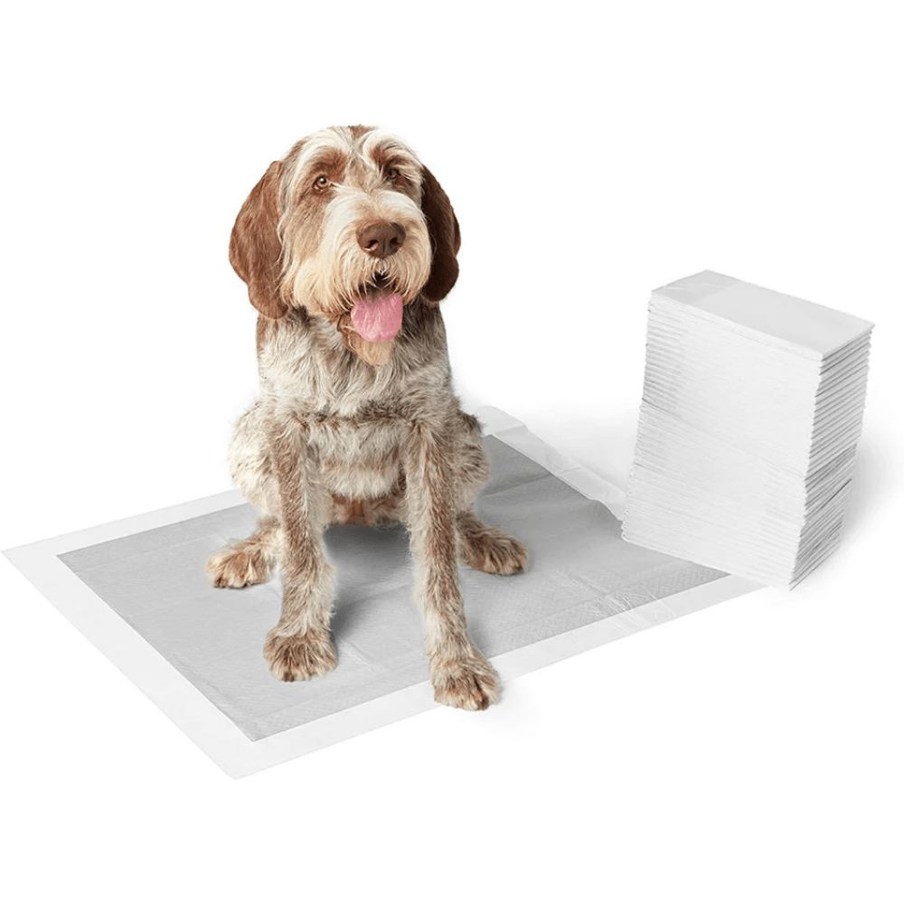 M Pets Carbon Training Dog Pads (60x60cm) Dogs-Health & Wellness M Pets