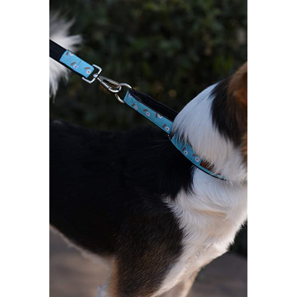 Mutt of Course Egg & Bacon Martingale Collar for Dogs