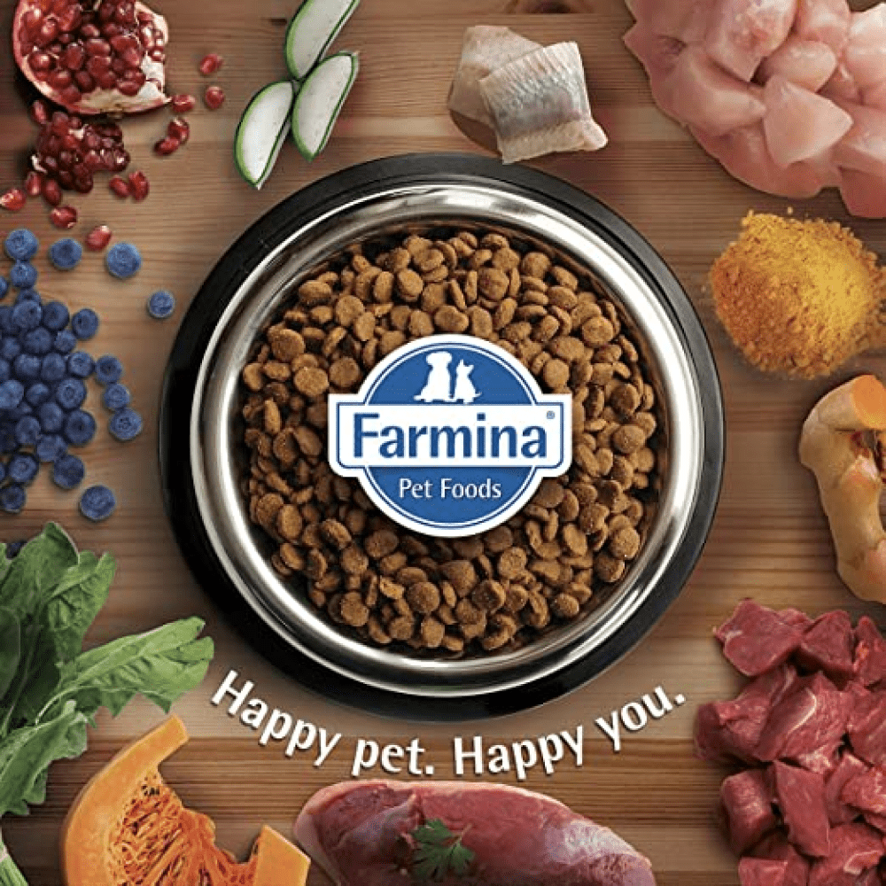 Farmina N&D Quinoa Lamb Mint & Fennel Digestion Grain Free Adult Dry Dog Food