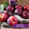 Tropiclean Pure Plum Deodorizing Spray for Dogs and Cats Both-Grooming Supplies TropiClean