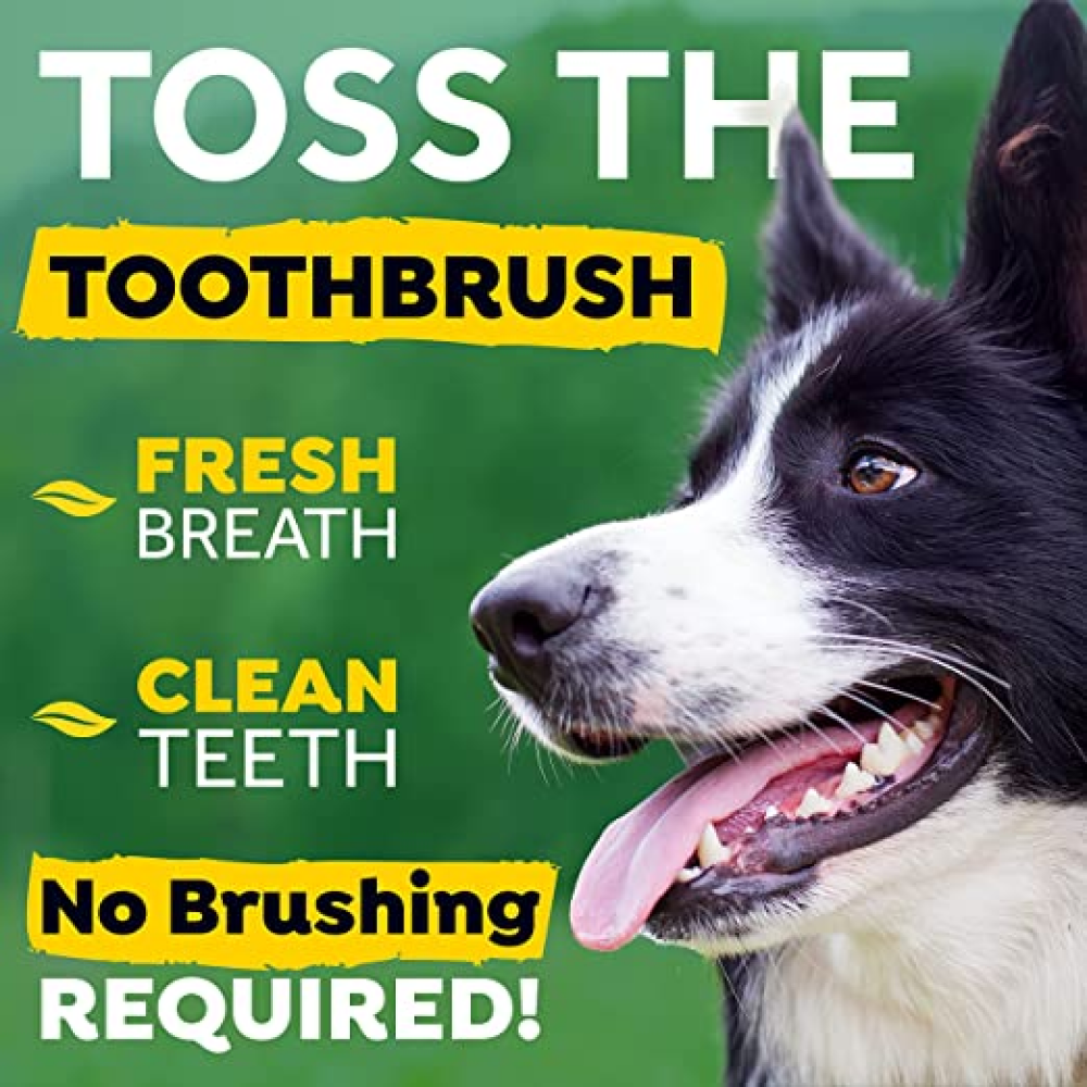 Tropiclean Fresh Breath Water Additive for Dogs
