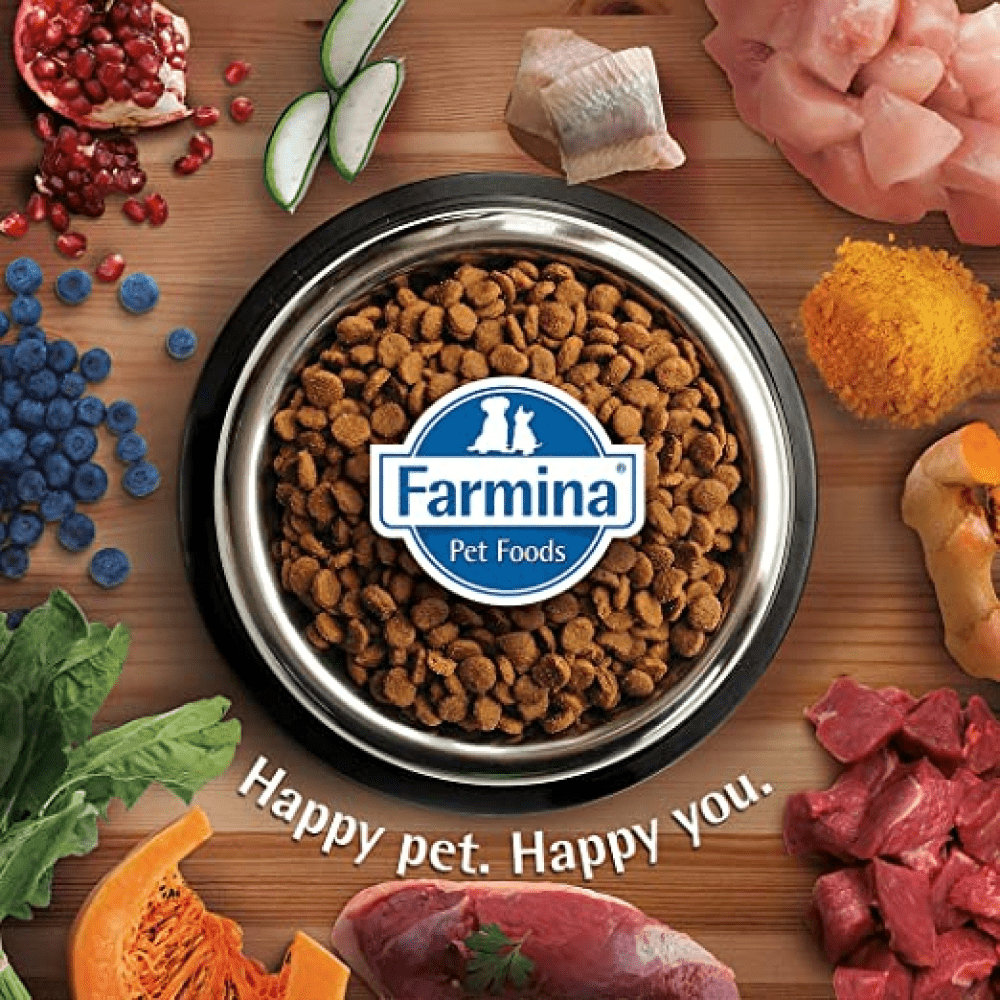 Farmina N&D Quinoa and Lamb Grain Free Weight Management Adult Dry Cat Food
