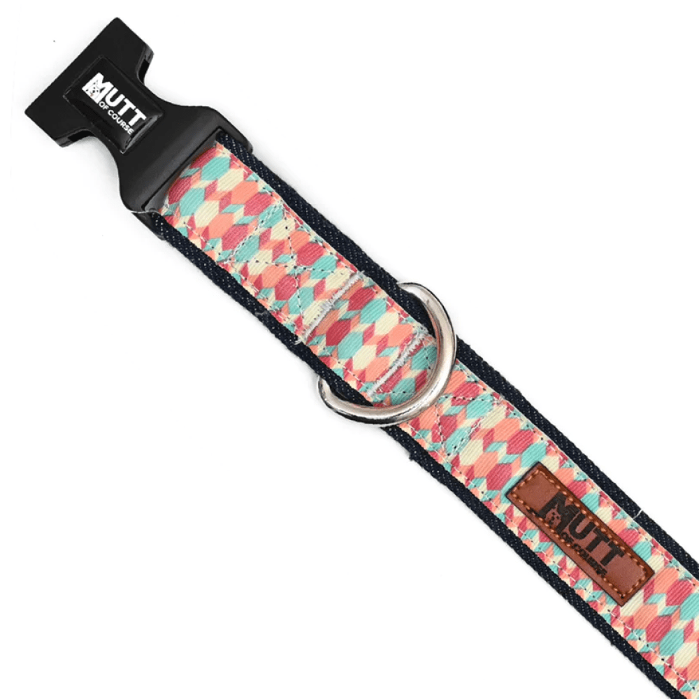 Mutt of Course Candy Bar Collar for Dogs
