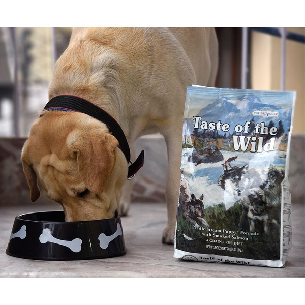 Buy Taste of the Wild Pacific Stream Puppy Dry Food Online