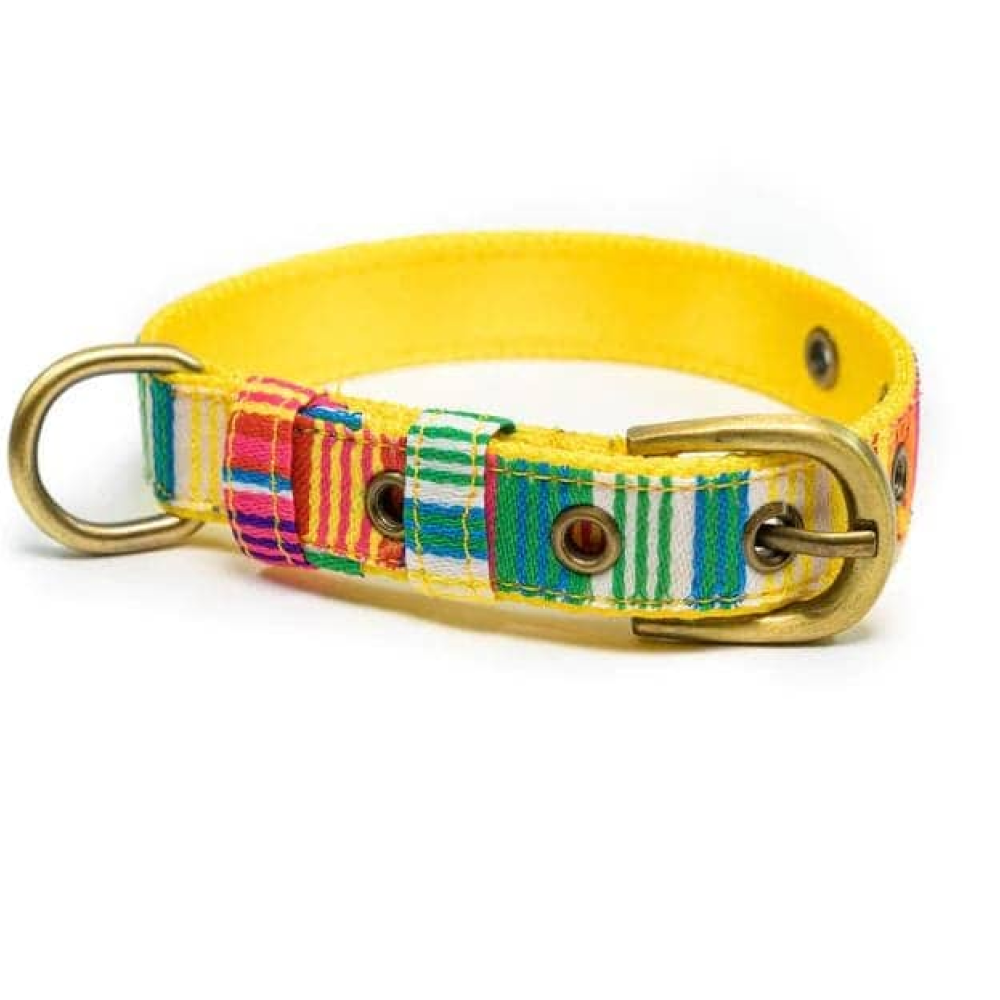 PetWale Nylon Belt Collar for Dogs (Colourful Stripes)