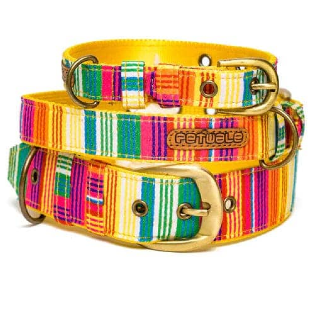 PetWale Nylon Belt Collar for Dogs (Colourful Stripes)