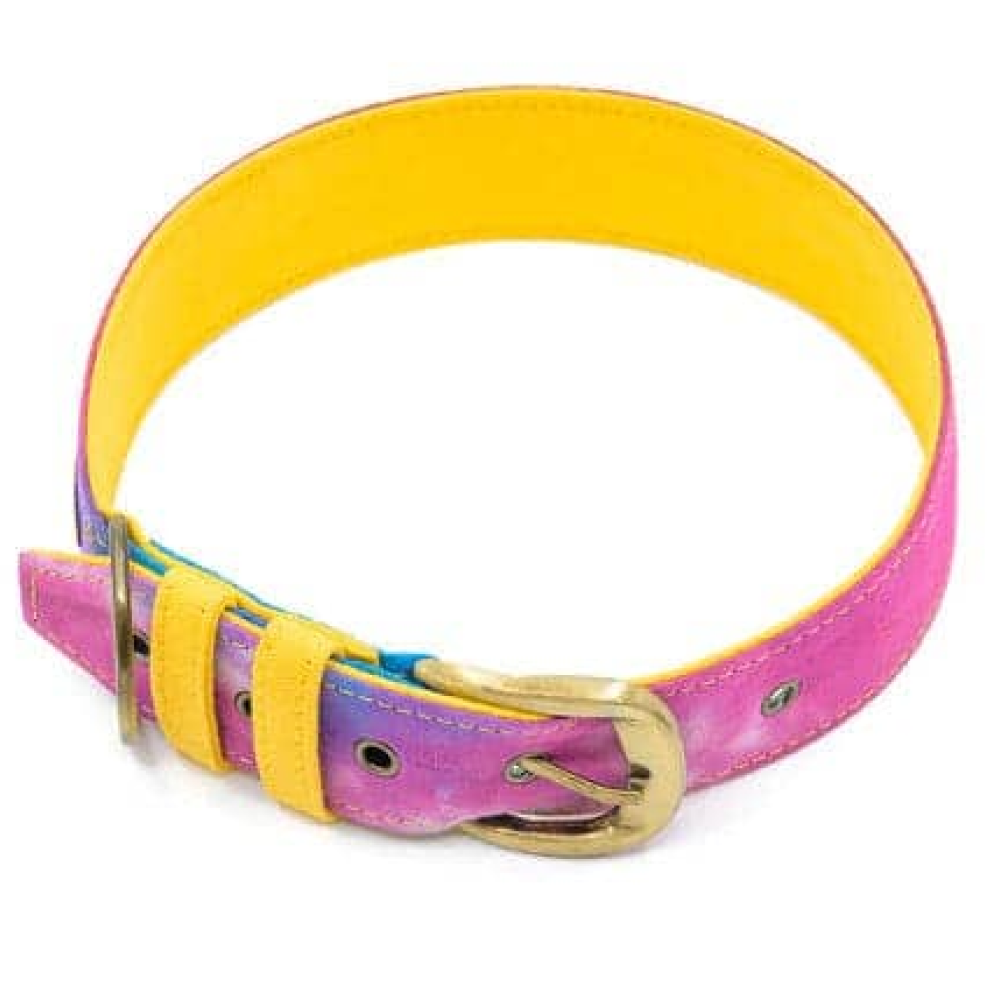 PetWale Fabric Belt Collar for Dogs (Tie Dye)