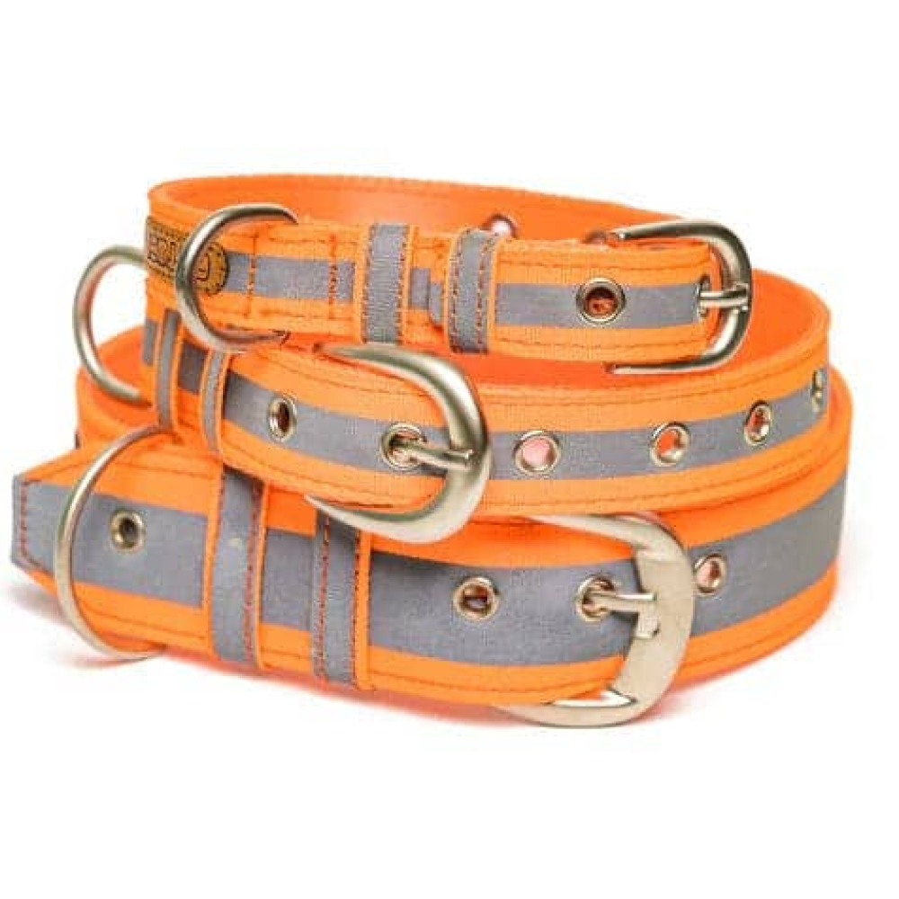 PetWale Nylon Belt Collar for Dogs (Reflective Orange)