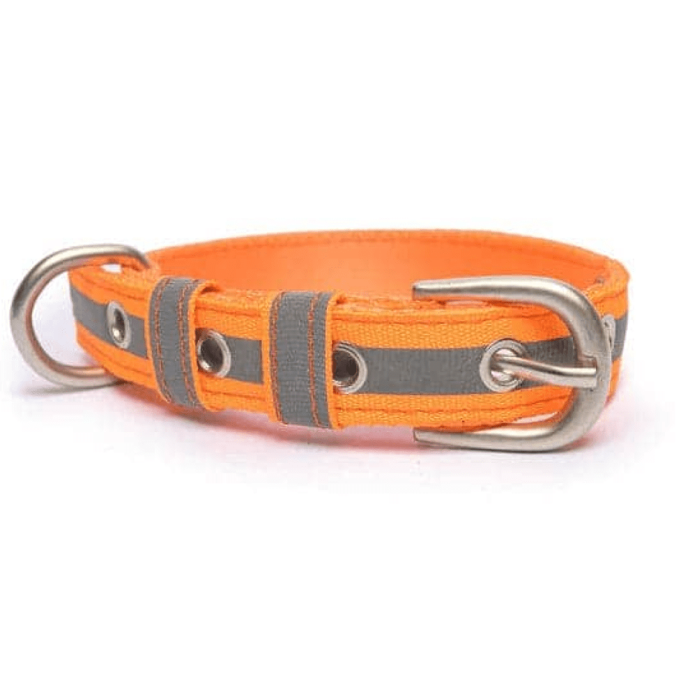 PetWale Nylon Belt Collar for Dogs (Reflective Orange)