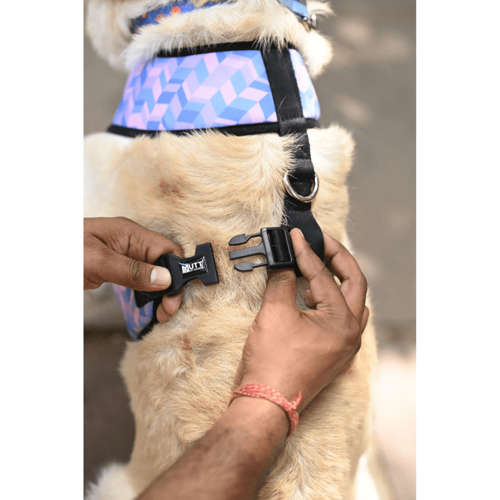 Mutt of Course Light Geometrical Harness for Dogs