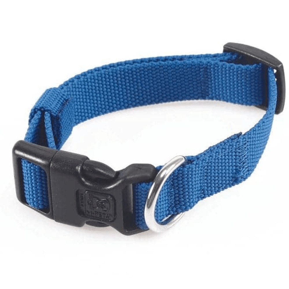 M Pets Jolly Eco Collar for Dogs (Blue)