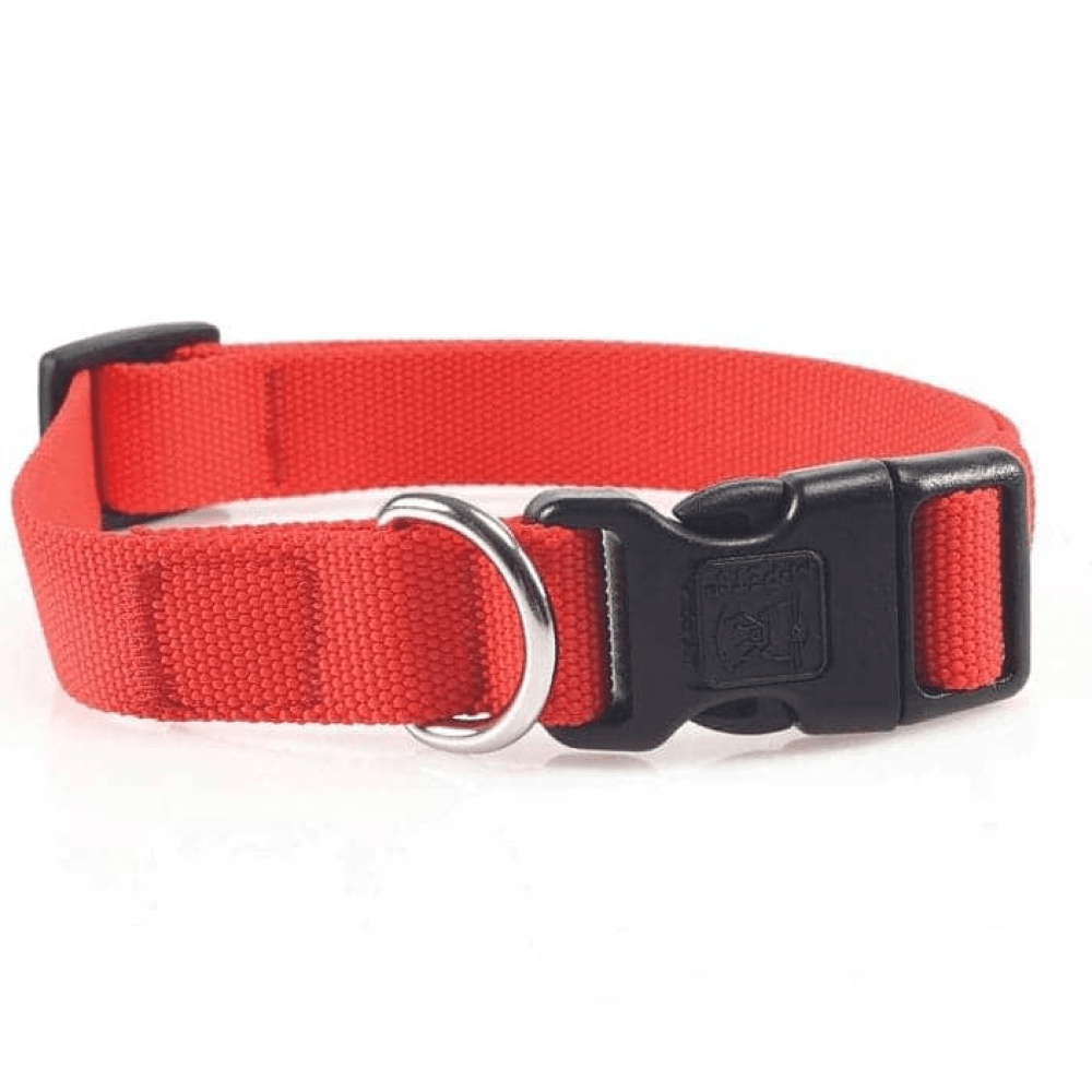 M Pets Jolly Eco Collar for Dogs (Red)