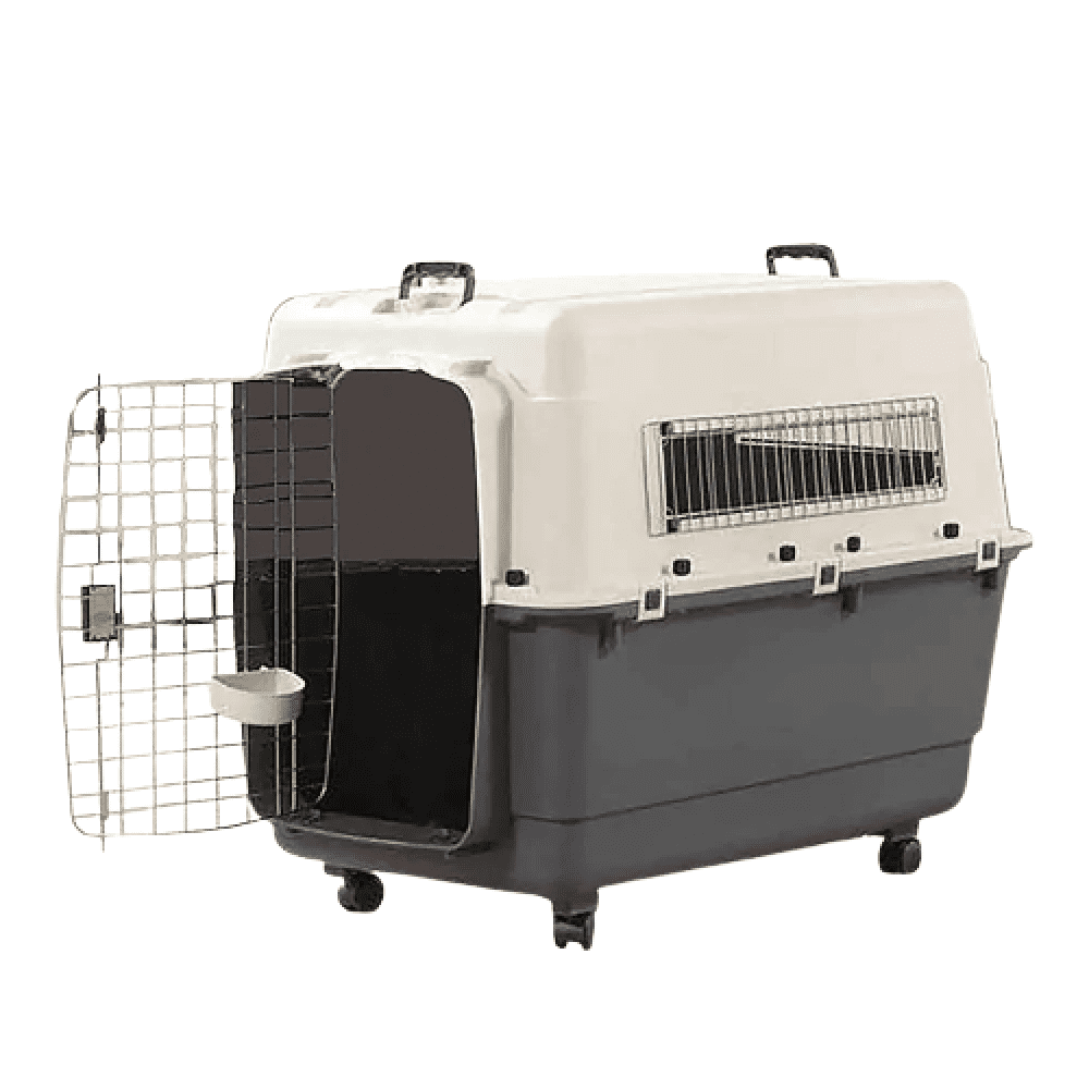 Savic Belgium Andes 7 Pet Carrier for Dogs and Cats (Ivory) Both-Bedding, Mats & Travel Supplies Savic Dropship 39x27x32in