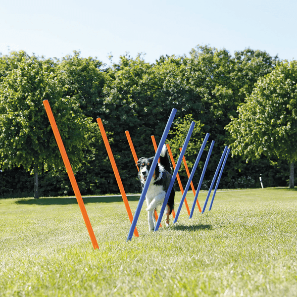 Trixie Dog Agility Slalom for Dogs (Orange/Blue)