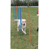 Trixie Dog Agility Slalom for Dogs (Orange/Blue)