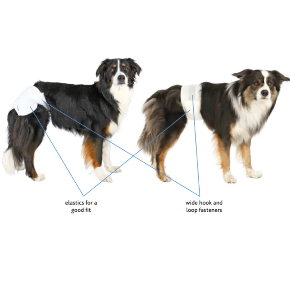 Trixie Diapers for Male Dogs (40x60cm) Dogs-Health & Wellness Trixie