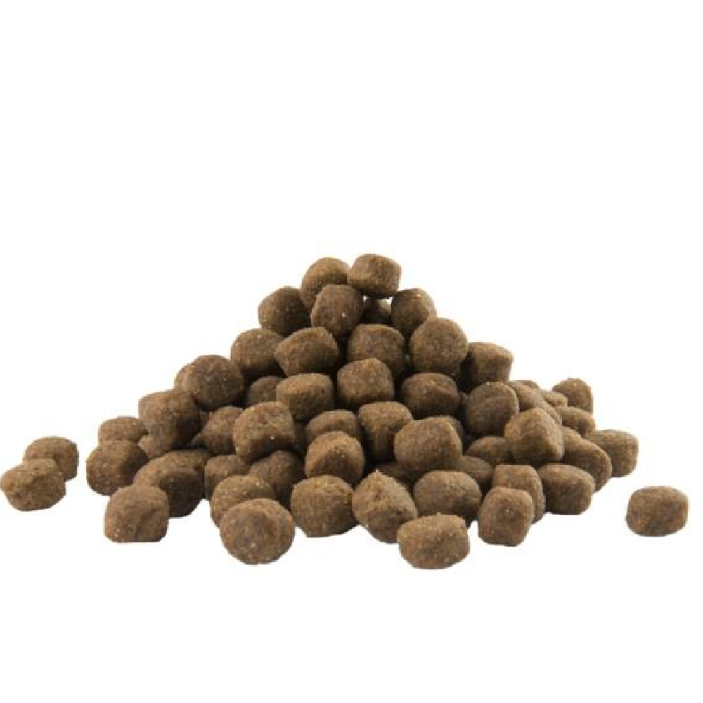Versele Laga Opti Life Chicken & Rice Mini Puppy Dry Food Dogs- Dry Food Versele Laga