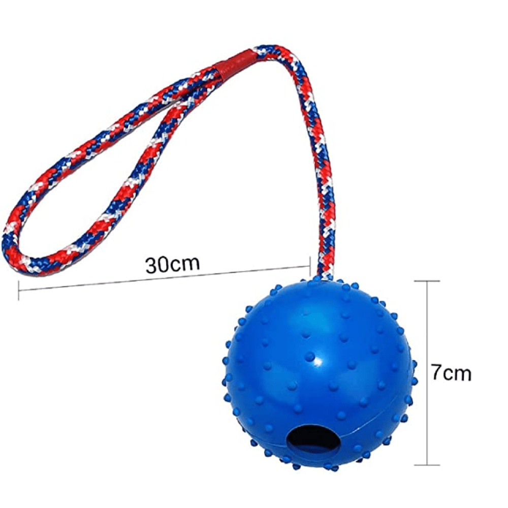 Emily Pets Rubber Ball with Rope Chew Toy for Dogs (Red)