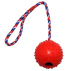 Emily Pets Rubber Ball with Rope Chew Toy for Dogs (Red)