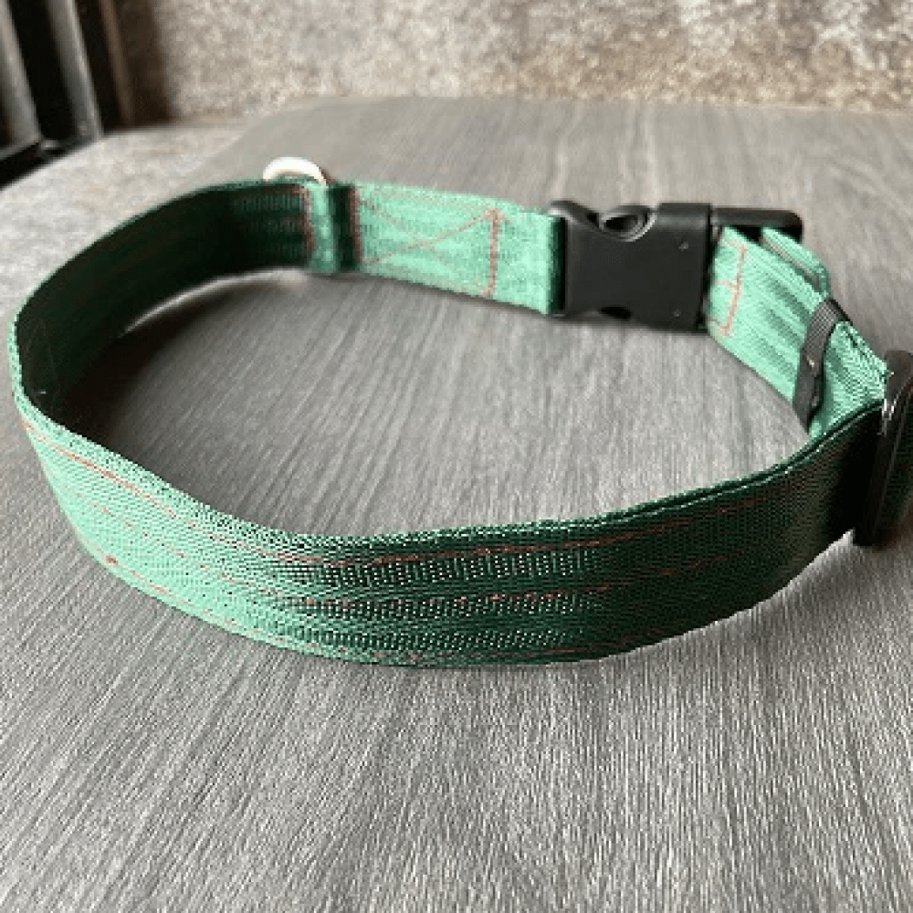 FurBuddies Myrtle Nylon Collar for Dogs (Green)