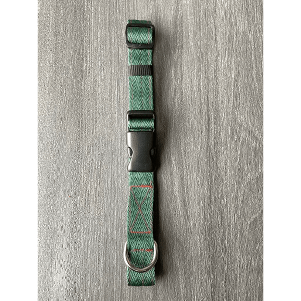 FurBuddies Myrtle Nylon Collar for Dogs (Green)