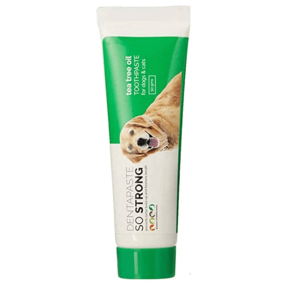 BI Grooming So Strong Dentapaste with Brush for Dogs and Cats Rewards Both-Health & Wellness Bi Grooming 50g