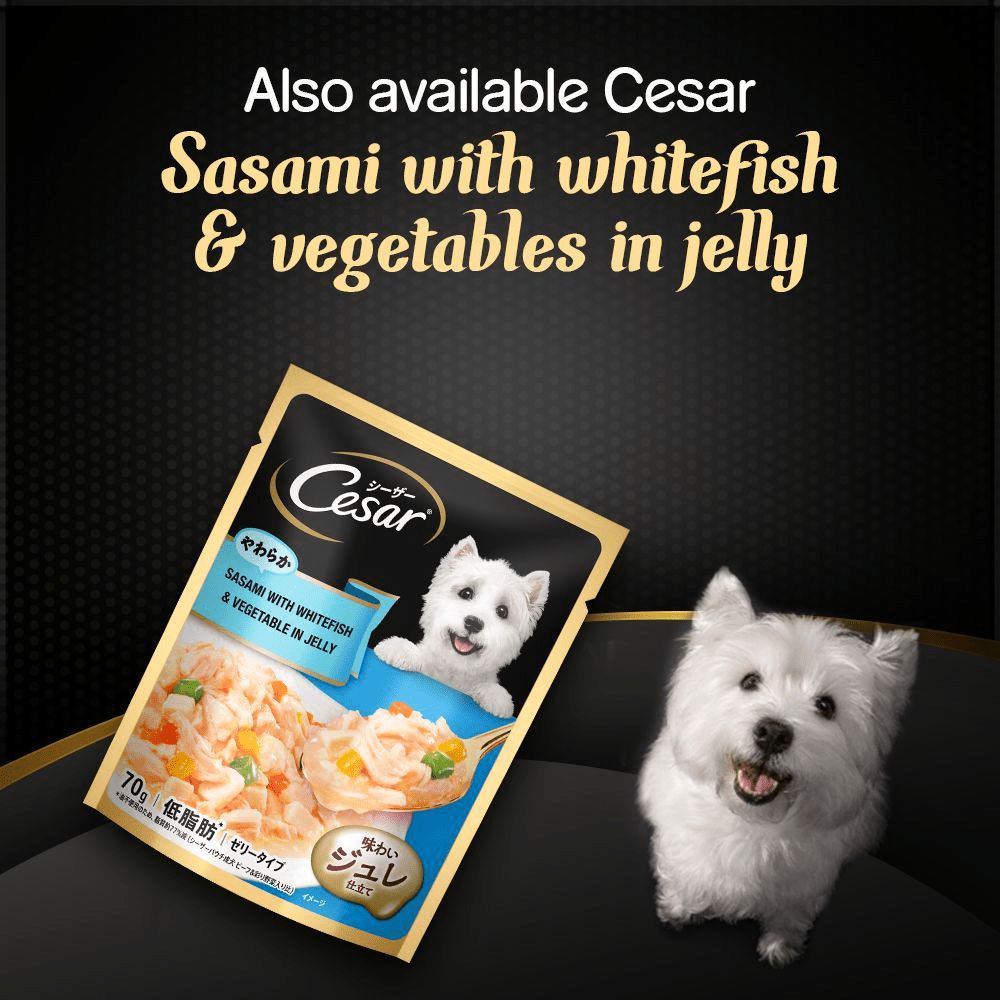 Cesar Sasami with Cheese & Vegetables in Jelly Adult Dog Wet Food